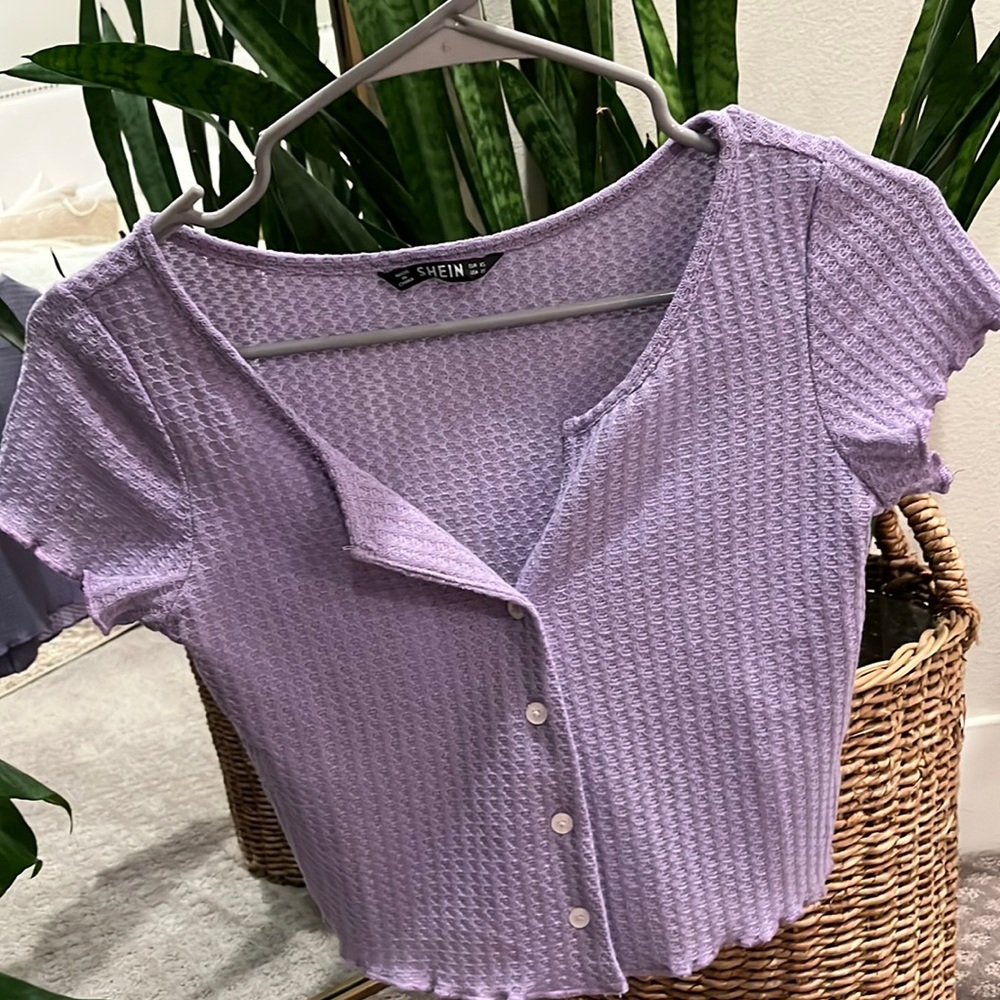 Purple Top